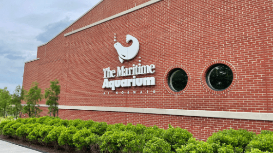 maritime aquarium
